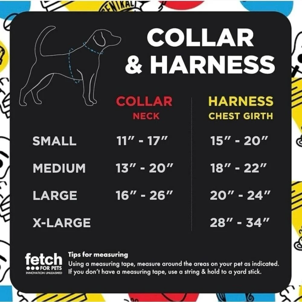 NWT FRIENDS Colorful Doodle Graphic Pet Collar & Leash Set Large